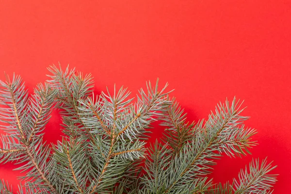 Kırmızı Noel Arkaplanındaki Yeşil Köknar Dalları — Stok fotoğraf