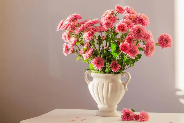 stock image pink chrysanthemums in white vase on white interior