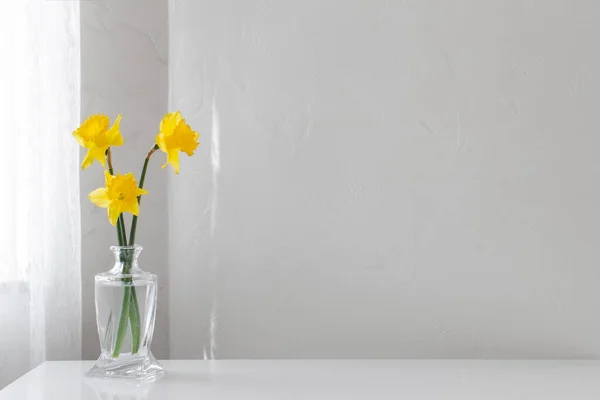 白色底色玻璃瓶中的黄色春天水仙花 — 图库照片