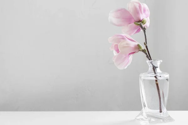 Pink Magnolia Flowers Glass Vase White Background — Stock Photo, Image
