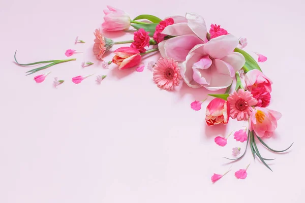 Vackra Vårblommor Rosa Bakgrund — Stockfoto