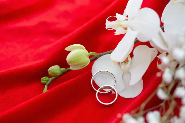 Anéis Casamento Com Flores Fundo Veludo Vermelho — Fotografia de Stock