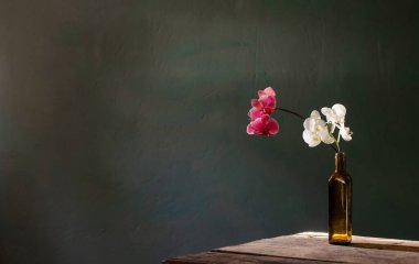 Karanlık arka planda, şişedeki orkide çiçekleri