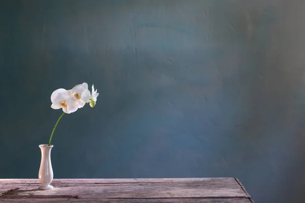 蓝色背景花瓶中的兰花 — 图库照片