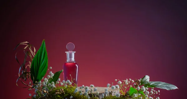 Magiczny Eliksir Szklanej Butelce Roślinami Kwiatami Czerwonym Tle — Zdjęcie stockowe