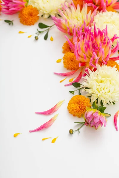 Красива Квіткова Композиція Білому Тлі — стокове фото