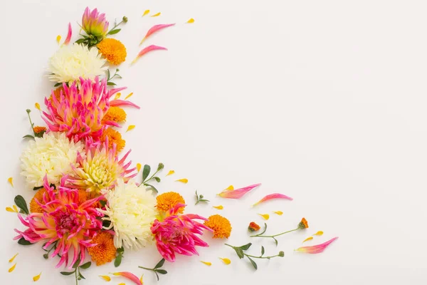 Vackra Blommor Sammansättning Vit Bakgrund — Stockfoto