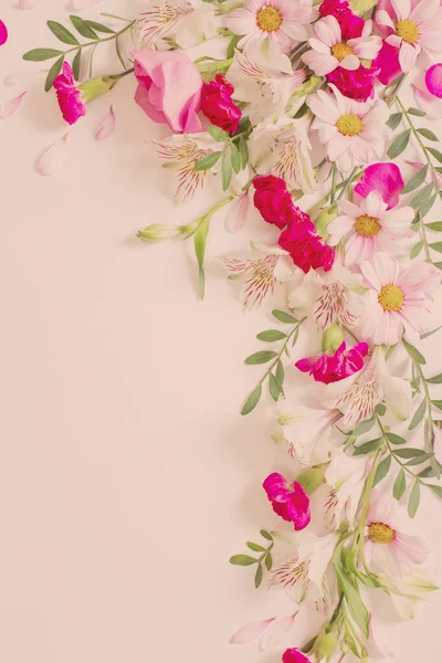 美しいピンクと白の花を背景に — ストック写真