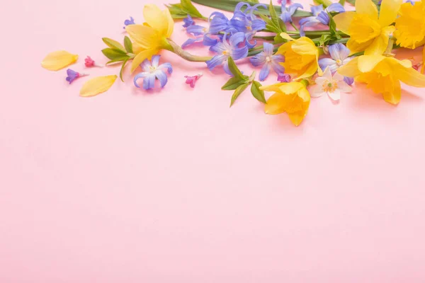 Весняні Квіти Рожевому Паперовому Фоні — стокове фото