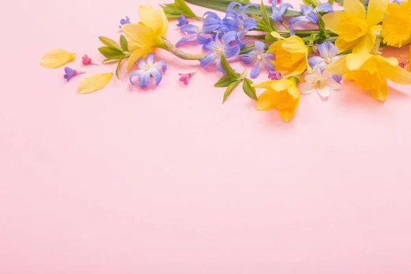 Fiori Primaverili Sfondo Rosa Papper — Foto Stock