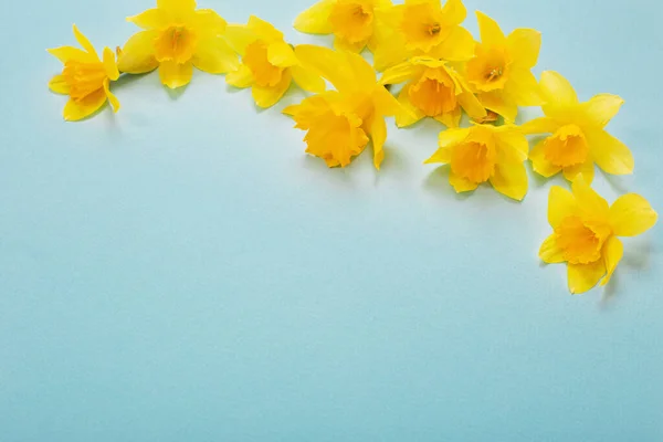 Gele Narcissen Bloemen Blauwe Papper Achtergrond — Stockfoto