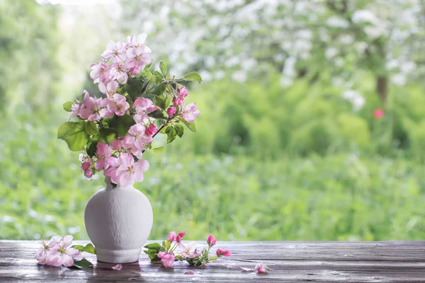 Apple Flowers White Vase Background Spring Garden — Stock Photo, Image