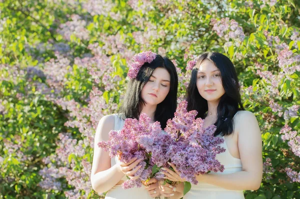 Дві Молоді Дівчата Квітучим Бузком Сонячному Світлі — стокове фото