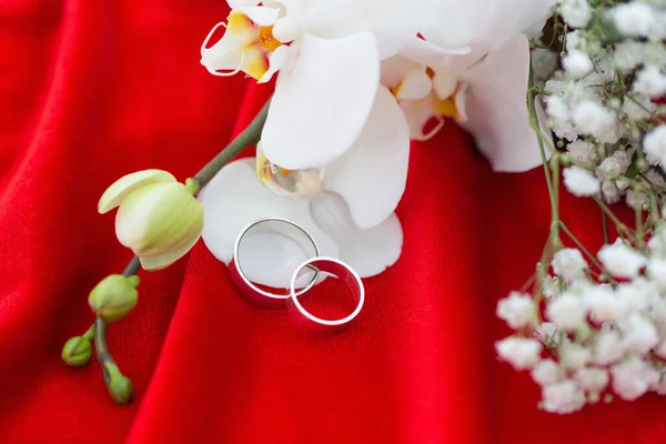 Jegygyűrűk Virágokkal Piros Bársony Háttér — Stock Fotó