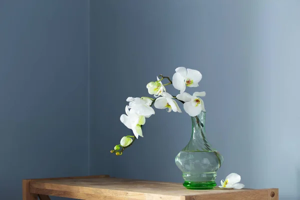 Hvid Orkide Vintage Glas Vase Træ Hylde Baggrund Væg - Stock-foto