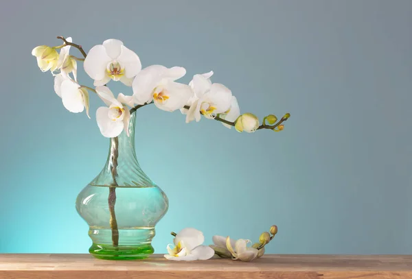 Witte Orchidee Vintage Glazen Vaas Houten Plank Achtergrond Muur — Stockfoto