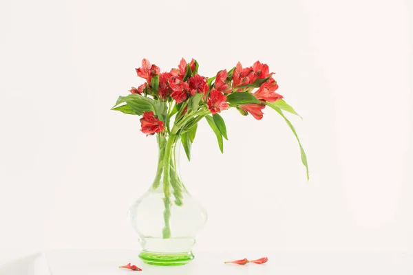 Rote Alstroemeria Vintage Glasvase Auf Weißem Hintergrund — Stockfoto