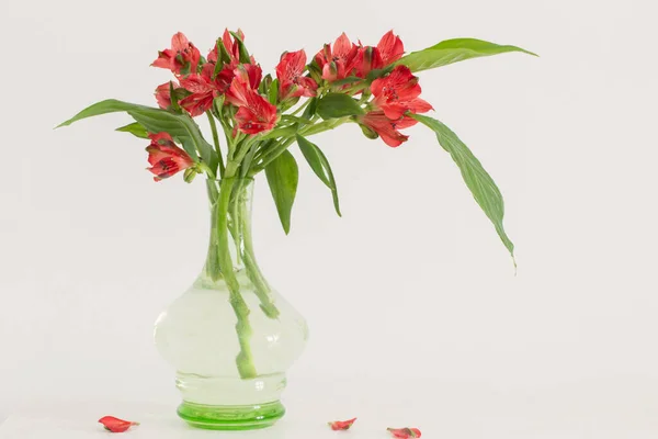 Rote Alstroemeria Vintage Glasvase Auf Weißem Hintergrund — Stockfoto