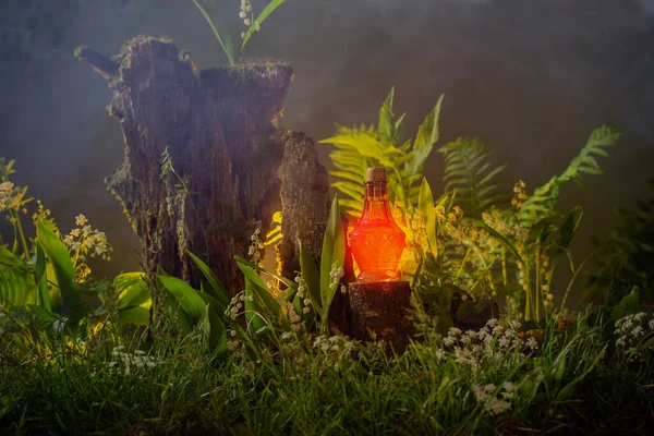 Sihirli Ormanda Sihirli Iksir Şişesi — Stok fotoğraf