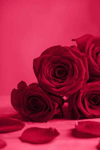 Μπουκέτο Από Κόκκινα Τριαντάφυλλα Κόκκινο Φόντο — Φωτογραφία Αρχείου
