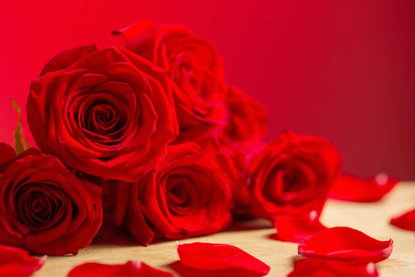 赤い背景に赤いバラの花束 — ストック写真