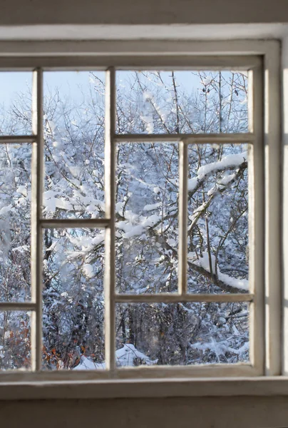 Stare Okno Śnieżnym Pięknym Krajobrazem — Zdjęcie stockowe