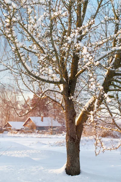 Mroźną Zimę Wiejski Pejzaż Zachodzie Słońca — Zdjęcie stockowe