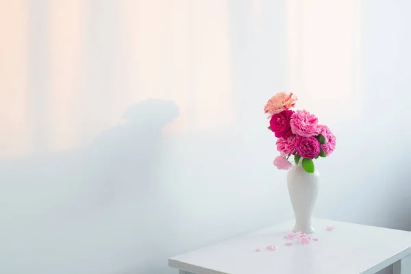 背景の白い壁に白い花瓶のピンクのバラ — ストック写真