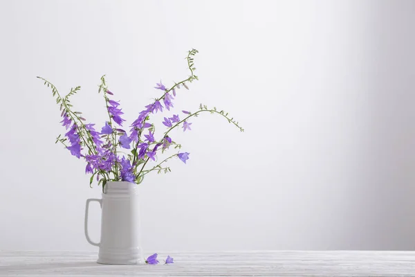 Blauglockenblumen Weißem Krug Auf Weißem Hintergrund — Stockfoto