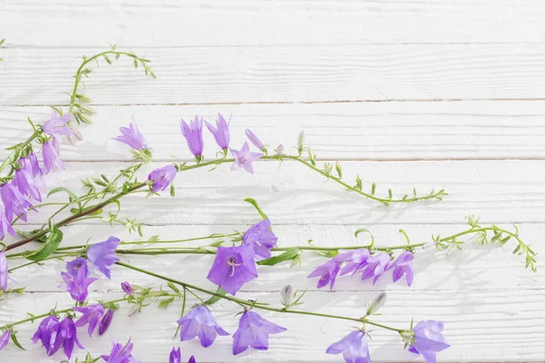 Bluebell Kwiaty Białym Drewnianym Tle — Zdjęcie stockowe