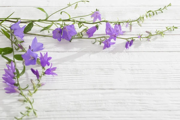 Beyaz Ahşap Arka Planda Bluebell Çiçekleri — Stok fotoğraf