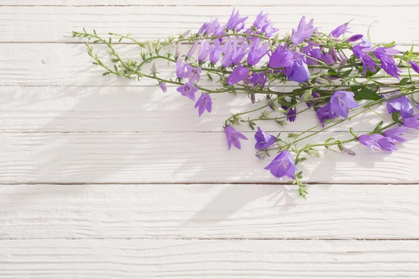 Bluebell Bloemen Witte Houten Achtergrond — Stockfoto