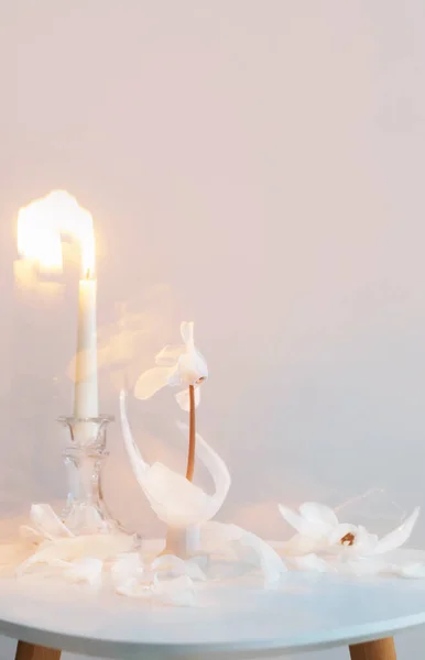 broken glass vase with white cyclamens and burning candle  on wh