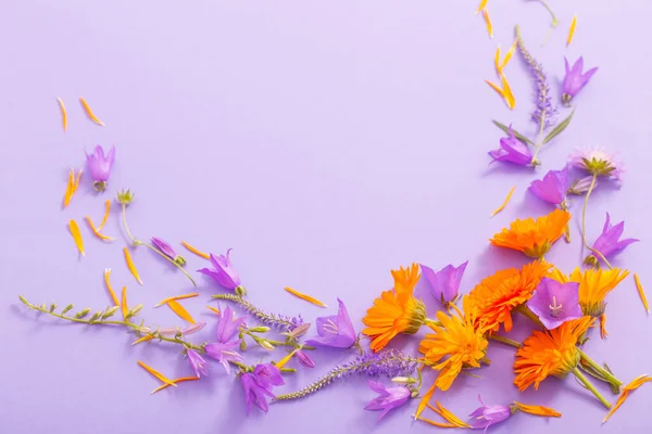 Stock image summer flowers  on violet paper background 