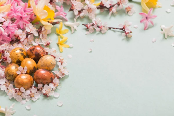Osterhintergrund Mit Eiern Und Blumen — Stockfoto