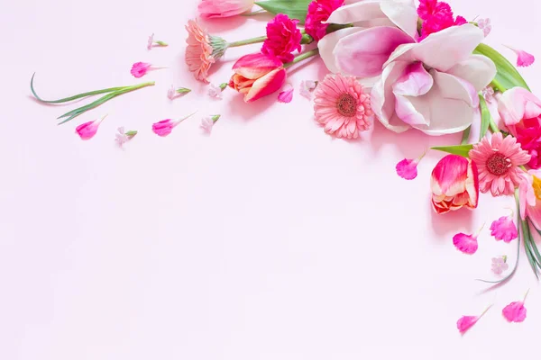 Güzel Bahar Çiçekleri Pembe Bir Arka Plan Üzerinde — Stok fotoğraf