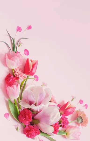 Όμορφα Λουλούδια Άνοιξη Ροζ Φόντο — Φωτογραφία Αρχείου