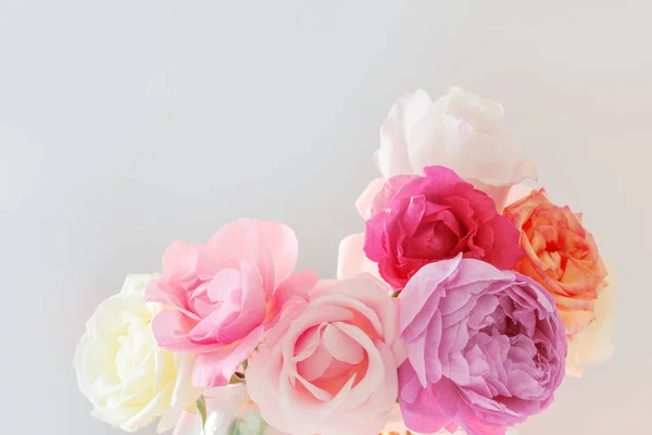 Rosas Bonitas Fundo Branco Fechar — Fotografia de Stock