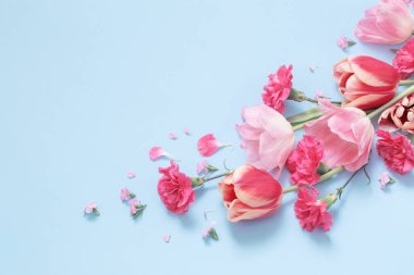 Mavi arka planda güzel bahar çiçekleri