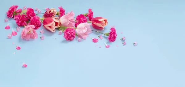 Schöne Frühlingsblumen Auf Blauem Hintergrund — Stockfoto