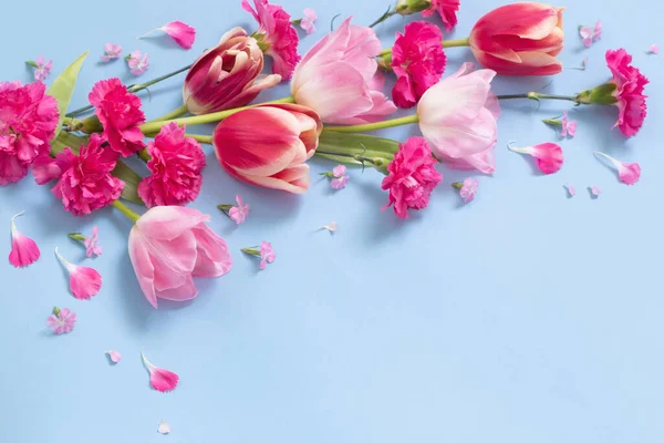Belles Fleurs Printanières Sur Fond Bleu — Photo