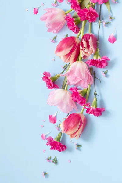 Hermosas Flores Primavera Sobre Fondo Azul —  Fotos de Stock