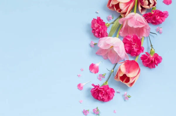 Vacker Våren Blommor Blå Bakgrund — Stockfoto