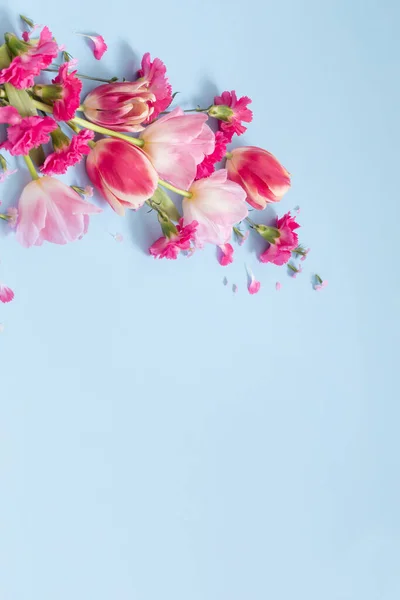 青い背景の美しい春の花 — ストック写真