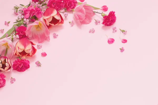 Belles Fleurs Printanières Sur Fond Rose — Photo