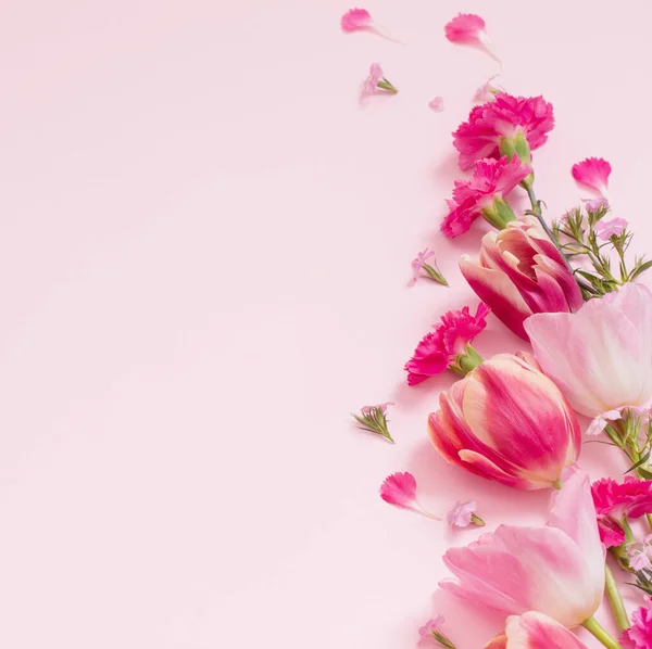 Красиві Весняні Квіти Рожевому Фоні — стокове фото