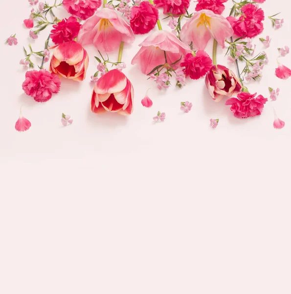 Belas Flores Primavera Fundo Branco — Fotografia de Stock