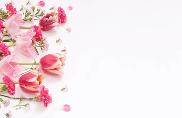 Mooie Lente Bloemen Witte Achtergrond — Stockfoto