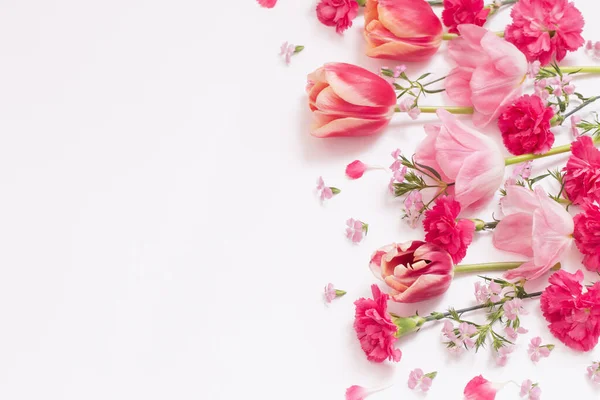 Hermosas Flores Primavera Sobre Fondo Blanco — Foto de Stock