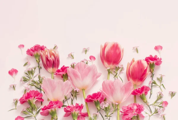 白い背景に美しい春の花 — ストック写真